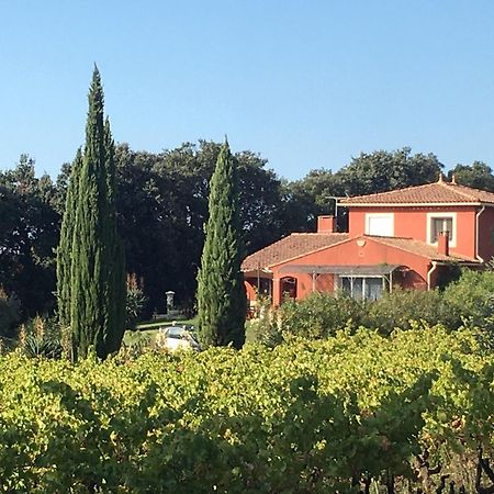Domaine Des Lavarines Morieres-les-Avignon Zewnętrze zdjęcie