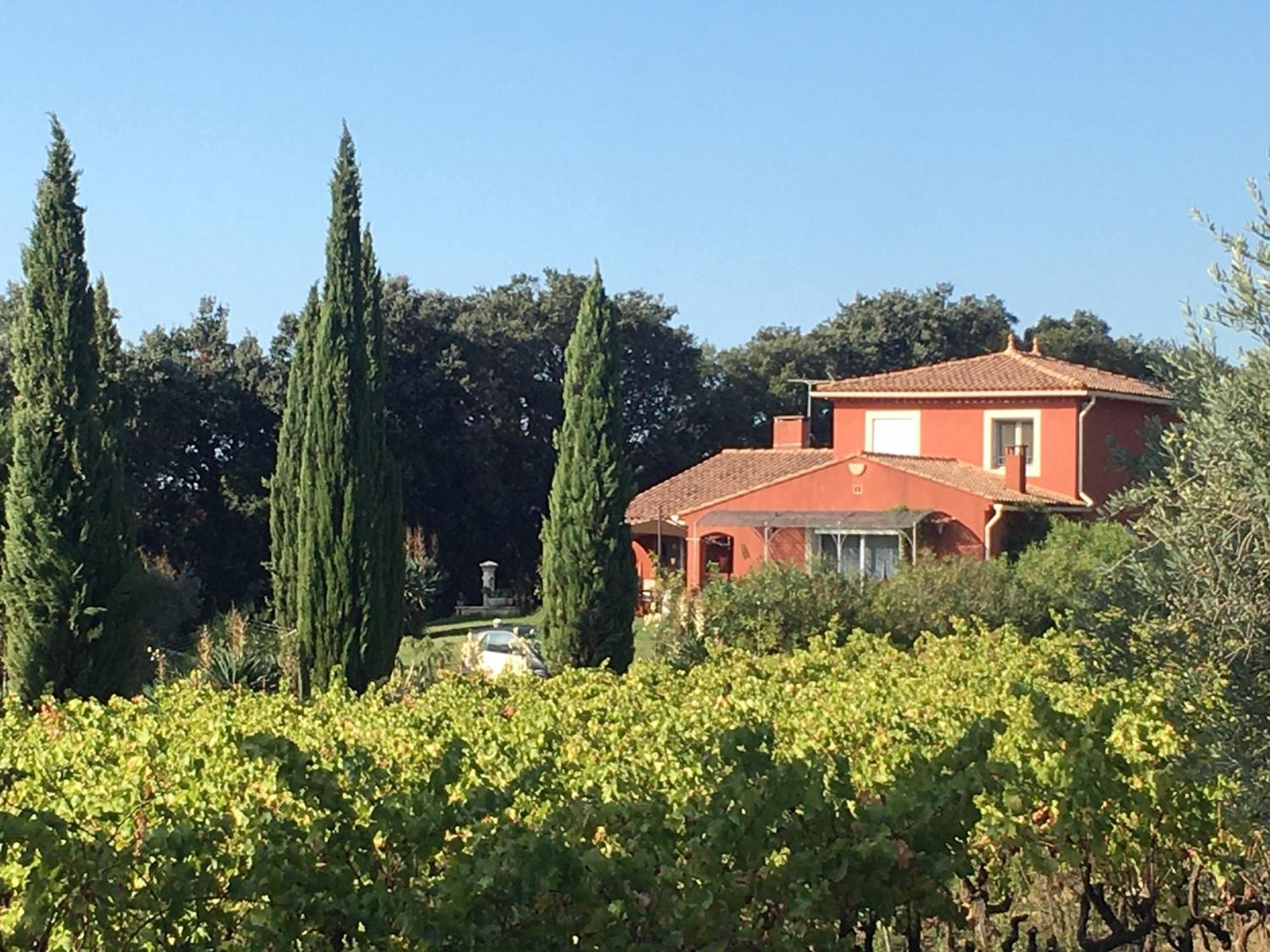 Domaine Des Lavarines Morieres-les-Avignon Zewnętrze zdjęcie